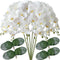 FagusHome 32" Artificial Phalaenopsis Flowers 6 Pcs with 4 Bundles Leaves Artificial Orchid Flowers Stem Plants for Home Décor (6Pcs)...