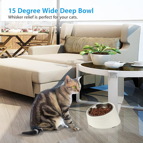 Tilted Angle Dog Bowl, 15° Slanted Stainless Steel Dog Cat Food Bowl, Non-Slip & Non-Spill Pet Feeder with Elevated Detachable Melamine Stand, Eas...