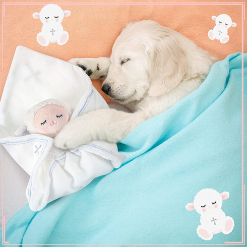 Baptism Gifts for Baby Girl Boys Lamb Security Blankets Baptism Lamb with Christian Cross Soft Bedtime Newborn Toy(Pink)...