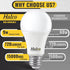 Halco ProLed Led Light Bulbs A19 2 Non Dimmable, Frosted 120V, 60W Equivalent Efficient 9W, 720 Lumen, 15000 Hours, E26, 6 Pack (4000k Cool White)...