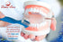 Denture Case with 2 Denture Cleaning Brushes, Retainer Case with Lid and Draining Basket for Cleaning and Storing…...