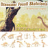 Qiuttnqn 60 Pack Dinosaur Fossil Skeletons,Plastic Figures Dino Bones,Dinosaur Skeleton Toys for Dino Sand Dig,Science Play,Party Favor,12 Styles...
