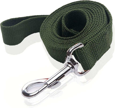Nylon Dog Leash 10 Feet Long, Walking Training Dog Leashes for Medium Large Dogs, 1 Inch Wide (Green)...