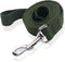 Nylon Dog Leash 10 Feet Long, Walking Training Dog Leashes for Medium Large Dogs, 1 Inch Wide (Green)...