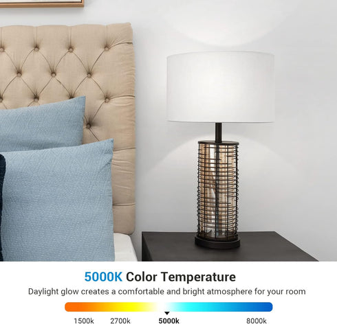 DEWENWILS 3 Way LED Light Bulbs, 40/60/100W Equivalent, 5000K Daylight White, A19 LED Bulbs, E26 Medium Base, 500/1000/1600LM Bright Light Bulbs, ...