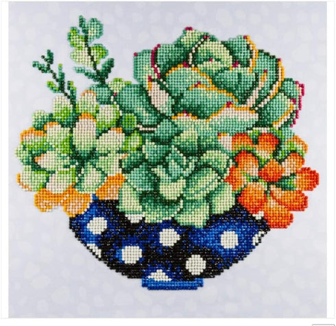 DIAMOND ART BY LEISURE ARTS Succulent Bowl, 12"x12", Intermediate Diamond Painting Kits for Adults, Diamond Art for Adults, Diamond Art Kit, Diamo...