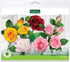 Flower Pro Five Petal Rose Cutters (Set of 3) for Cake Decorating - by Katy Sue Green...