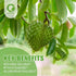 Organic Soursop Graviola Gummies| Organic Soursop Leaves and Seeds Extract 2000mg| Digestive Aid, Immune Support and Antioxidant Properties| Non-G...