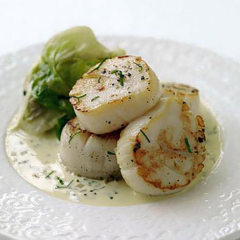 Morton & Bassett Tarragon...