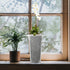Beautyflier 5” Pack of 4 Clear Flower Pot Planter Plastic Orchid Pot with Holes Tall Plant Pots for Home Office Desk Garden Flower Shop Decoration...