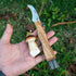 Outdoor Foldable Mushroom Knife Gardening Knife Portable Foraging Knife Fruit Picking Knife Natural Olive Wood Handle,2-Piece...