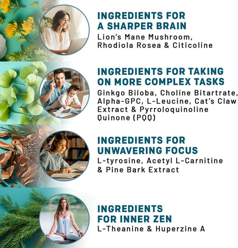 14-in-1 Lions Mane Supplement Capsules - Nootropic Brain Supplement with Ginkgo Biloba for Brain Support, Memory and Focus - Alpha GPC, L Theanine...