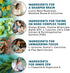 14-in-1 Lions Mane Supplement Capsules - Nootropic Brain Supplement with Ginkgo Biloba for Brain Support, Memory and Focus - Alpha GPC, L Theanine...