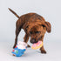 Fringe Studio Plush Dog Toy Set, Interactive Hide and Seek Play, Eat More Hole Foods, Pet Shop Collection (289235)...