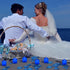 LANKER 500 PCS Blue Artificial Rose Petals with 24 PCS Bright Flickering Blue Flameless LED Tea Lights Candles for Valentine's Day and Romantic Oc...