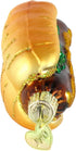 Old World Christmas Ornaments: Ballpark Foods Glass Blown Ornaments for Christmas Tree, Hot Dog...