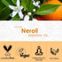 Neroli Essential Oil 4 Fl Oz (120ml) - Pure and Natural Neroli Aromatherapy Fragrance Oil, Neroli Oil for Diffusers, Candle Making, Massage, Soap,...