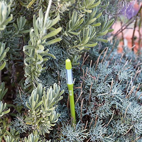 Sustee Aquameter (2 Green, Medium) - Plant Soil Moisture Meter, Monitor, Probe, Indicator - Best for Potted Plants - Package of 2 Sensors...