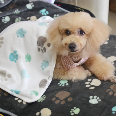1 Pack 3 Puppy Blankets Super Soft Warm Sleep Mat Grey PAW Print Blanket Fleece Pet Blanket Dog Blankets for Small Dogs Puppy Dogs Fluffy Cats,Med...