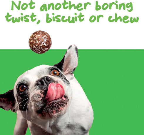 Dog Training Treats | Healthy Low Calorie Dog Treat | Vegan Dog Snacks | Small Dogs Medium Dogs Large Dogs | Mango Chia Spinach Coconut Coated | 1...