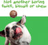 Dog Training Treats | Healthy Low Calorie Dog Treat | Vegan Dog Snacks | Small Dogs Medium Dogs Large Dogs | Mango Chia Spinach Coconut Coated | 1...