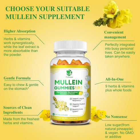 (2 Pack) 9 in 1 Mullein Gummies for Lung Cleanse, Extra Strength 10000MG(10:1 Extract) Mullein Leaf Extract w/Quercetin, Bromelain, Elderberry & M...
