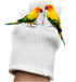 Bird Training Anti-Bite Gloves, Parrot Chewing Safety Protective Gloves, Small Animal Handling Gloves for Parrotlets Cockatiels Finch Macaw (1 Pai...