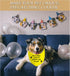 JXGZSO 1 Piece Nervous Anxious Dog Bandana Ask to Pet Dog Bandana Nervous Dog Gear (a Little Scared D)...