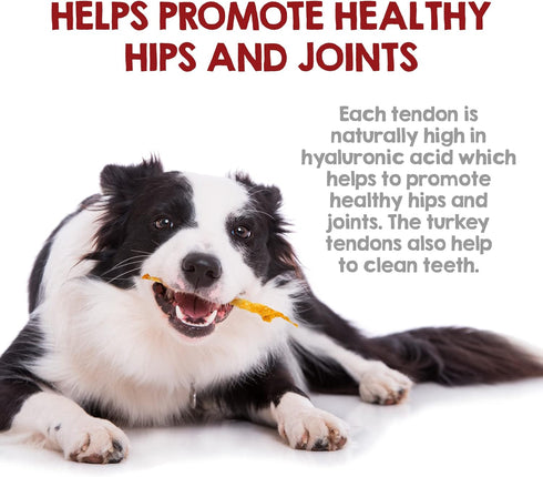 Riley's Turkey Tendons for Dogs Made in The USA & Sourced in The USA - Single Ingredient Dog Treats - All Natural Turkey Tendon Chews for Dogs - 4...