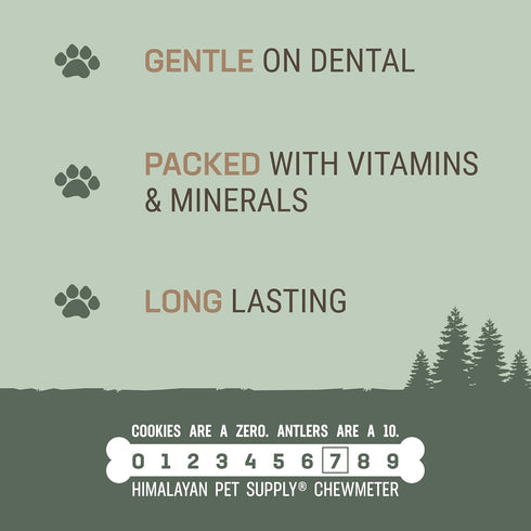 Antler and Himalayan Cheese Dog Chew | Long Lasting, Stain Free, Protein Rich, Low Odor | 100% Natural, Healthy & Safe | No Lactose, Gluten Or Gra...