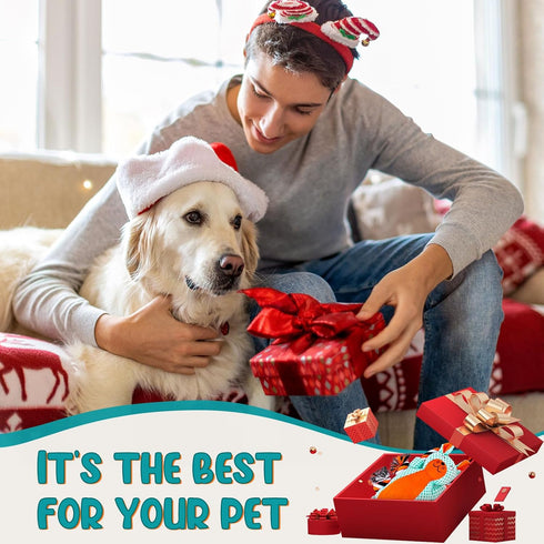 Dog Toys for Aggressive Chewers, Interactive Tug of War Dog Toy, Squeaky Dog Toys to Keep Them Busy for Small,Medium,Large Dogs...