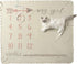 Primitives by Kathy Baby Milestone Blanket, 42 x 36-Inches, My Girl...