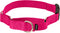 PetSafe Martingale Dog Collar with Quick-Snap Buckle - Medium, 1 Inch, Raspberry...