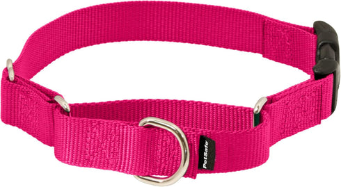 PetSafe Martingale Dog Collar with Quick-Snap Buckle - Small, 3/4 Inch, Raspberry...
