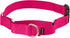 PetSafe Martingale Dog Collar with Quick-Snap Buckle - Small, 3/4 Inch, Raspberry...