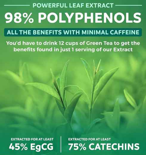 Green Tea Extract Capsules 98% with EGCG (Non-GMO) for Natural Metabolism Boost - Leaf Polyphenol Catechins - Antioxidant Supplement - Green Tea P...