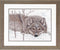 Dimensions Wolf in Snow Cross Stitch Kit, 14 Count White Aida Cloth, 14" x 14"...