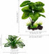 Reptile Artificial Plants, Terrarium Plants Decorations Supplies, Aquarium Fish Tank Plant, Amphibian Habitat Hideout Tank Accessories (M Set-2pcs...