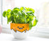 Silver Buffalo Gudetama Dangerous Situations Boxed Ceramic Soup Mug w/Spoon, 24-Ounce...