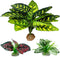 Reptile Artificial Plants, Terrarium Plants Decorations Supplies, Aquarium Fish Tank Plant, Amphibian Habitat Hideout Tank Accessories(L Set-3pcs/...