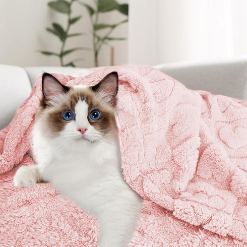 MACEVIA Fluffy Fleece Dog Blankets, Warm Soft Fuzzy Pets Blankets for Puppy, Small, Medium, Large Dogs and Cats, Plush Pet Throws for Bed, Couch, ...