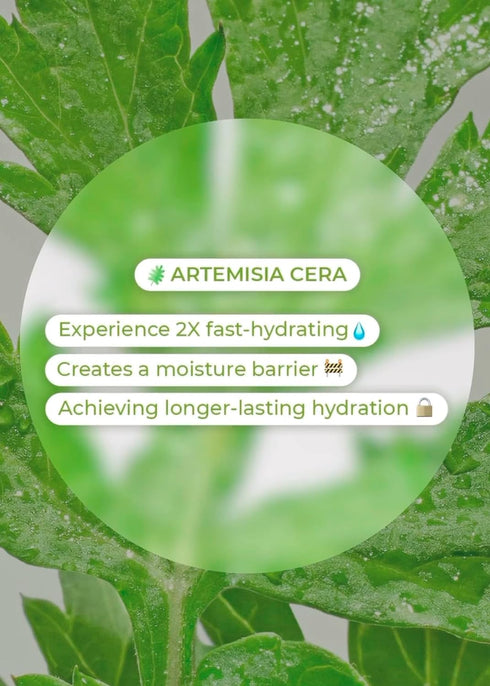 Bring Green Artemisia Cera Calming Moisture Toner | Daily Skincare Routine for Redness Relief, Super Calming Facial Toner to Relieve Sensitive, Ir...