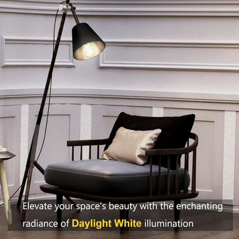 ORALUCE LED Edison Light Bulb 60 Watt Equivalent E26,Vintage Light Bulbs 6W 5000K Daylight White 700 Lumen, ST64 / ST21 Antique LED Filament for C...