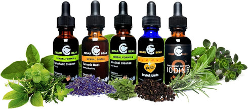 Cedar Bear Chanca Piedra a Liquid Herbal Supplement 1 Fl Oz...