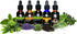 Cedar Bear Chanca Piedra a Liquid Herbal Supplement 1 Fl Oz...