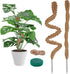 2 Pack 25 Inch Coco Coir Moss Poles for Climbing Indoor Plants - Handmade Plant Support for Creepers to Grow Upwards...