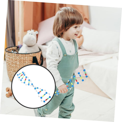 Dna Double Helix Model Components Educational Teaching Model Dna Teaching Aids Molecular Model Self-assembling Model Dna Model Kit Biology Dna Mod...