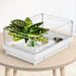 Reptile Artificial Plants, Terrarium Plants Decorations Supplies, Aquarium Fish Tank Plant, Amphibian Habitat Hideout Tank Accessories(L Set-3pcs/...