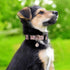 Cotton Dog Collar for Small Medium Large Dogs,Girl Dog Collar with Quick-Release Buckle,Flowers Soft Adjustable Pet Collar (Large, Pink Daisy)...