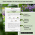 Sow Right Seeds - Large Herb Garden Seed Collection for Planting - Basil, Chives, Parsley, Lavender, Oregano, Dill, Lemon Balm, Chamomile & Thyme ...
